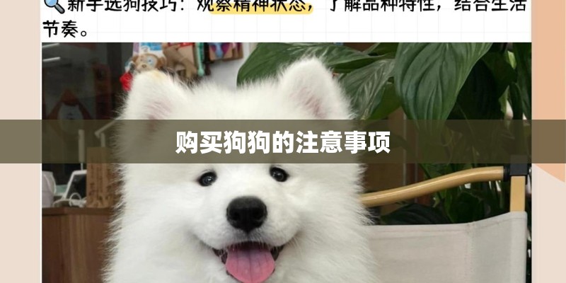 购买狗狗的注意事项