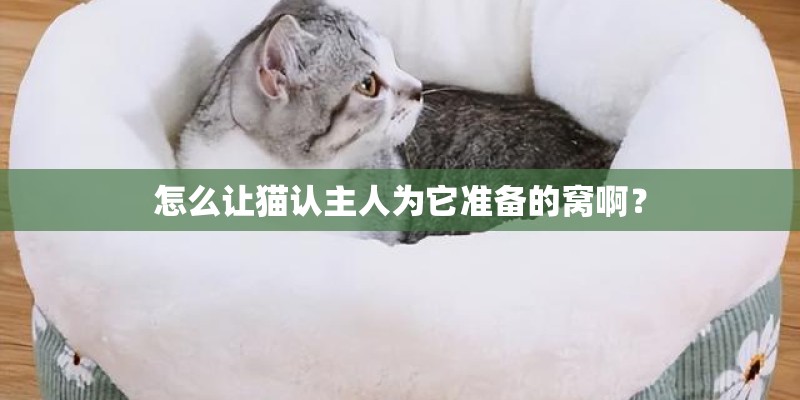 怎么让猫认主人为它准备的窝啊? 怎么让猫认主人为它准备的窝啊?