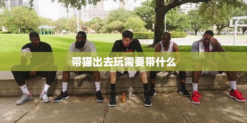 带猫出去玩需要带什么