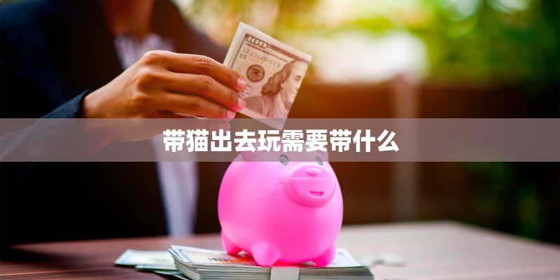 带猫出去玩需要带什么