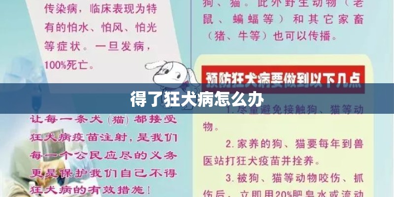得了狂犬病怎么办
