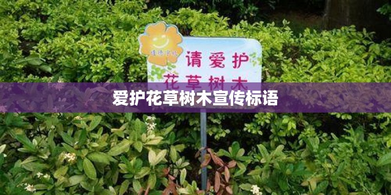 爱护花草树木宣传标语