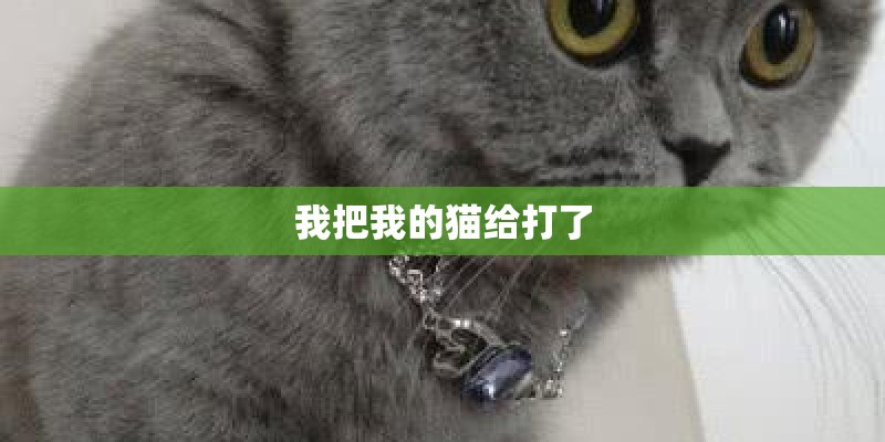 我把我的猫给打了