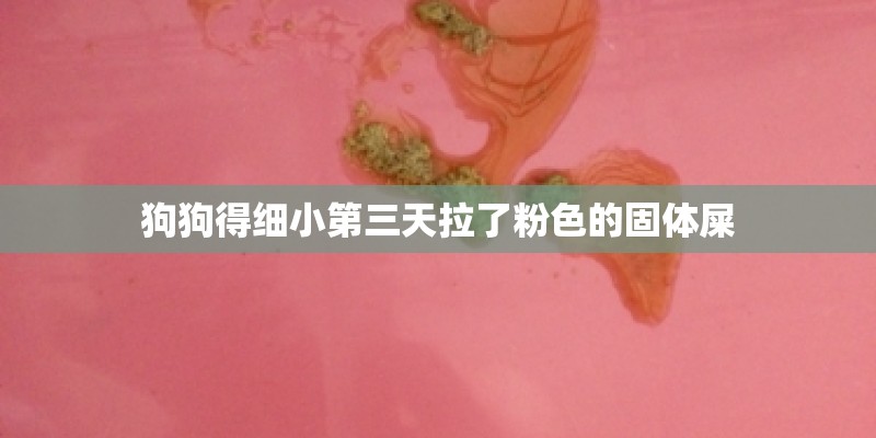 狗狗得细小第三天拉了粉色的固体屎