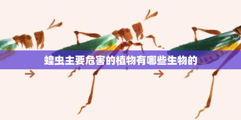 蝗虫主要危害的植物有哪些生物的