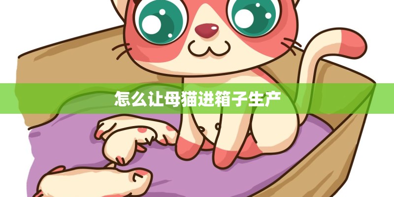 怎么让母猫进箱子生产