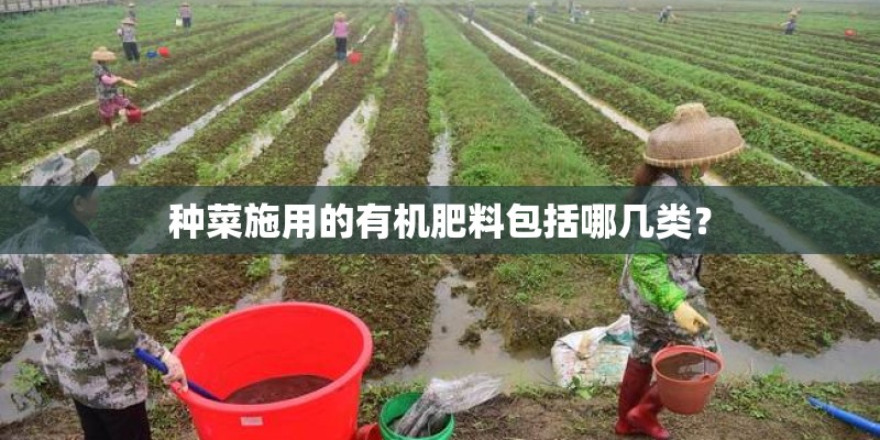 种菜施用的有机肥料包括哪几类？