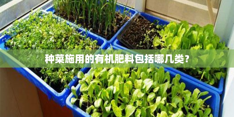 种菜施用的有机肥料包括哪几类？