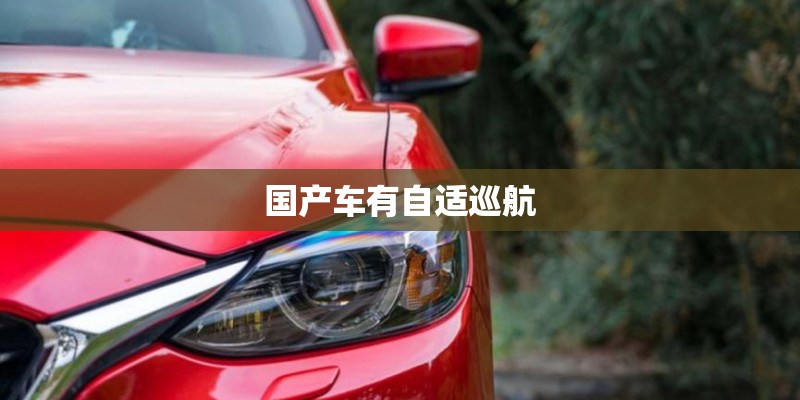 国产车有自适巡航