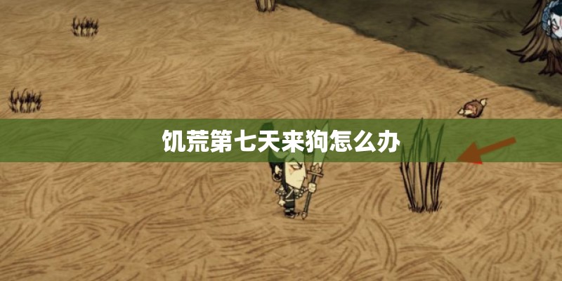 饥荒第七天来狗怎么办