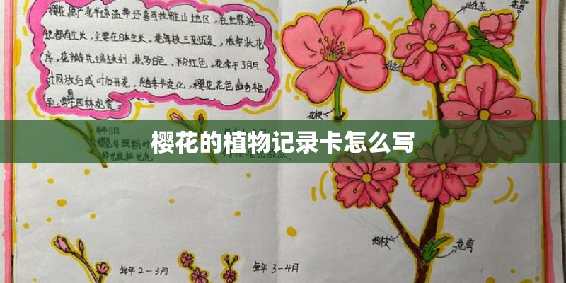 樱花的植物记录卡怎么写