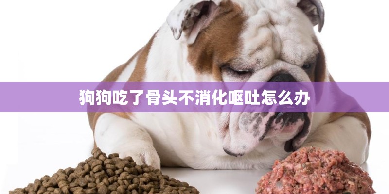 狗狗吃了骨头不消化呕吐怎么办
