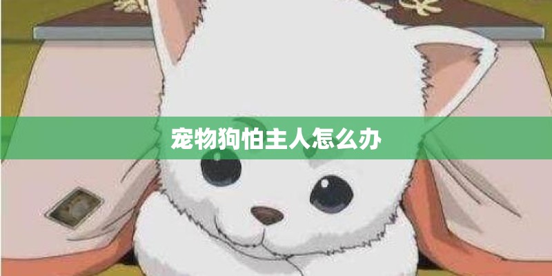 宠物狗怕主人怎么办
