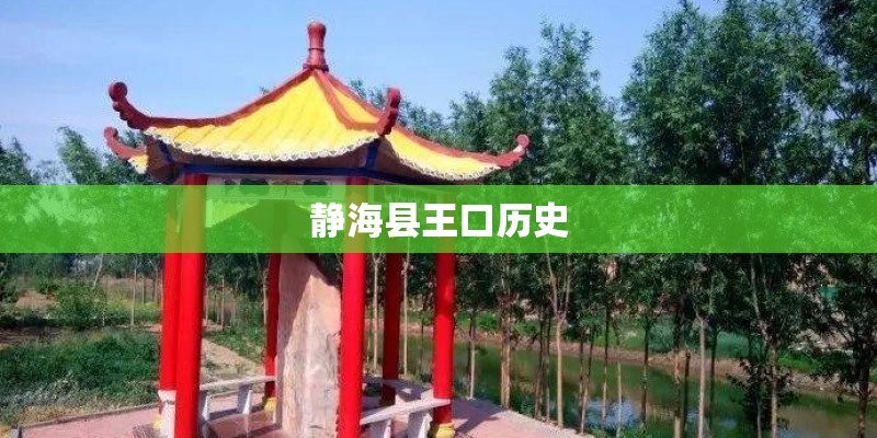 静海县王口历史