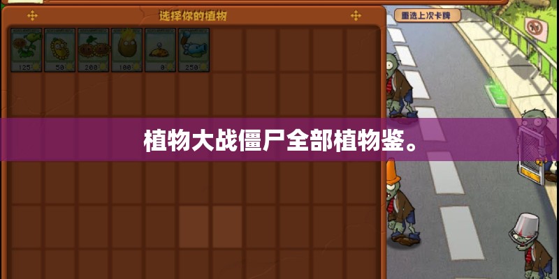 植物大战僵尸全部植物鉴。