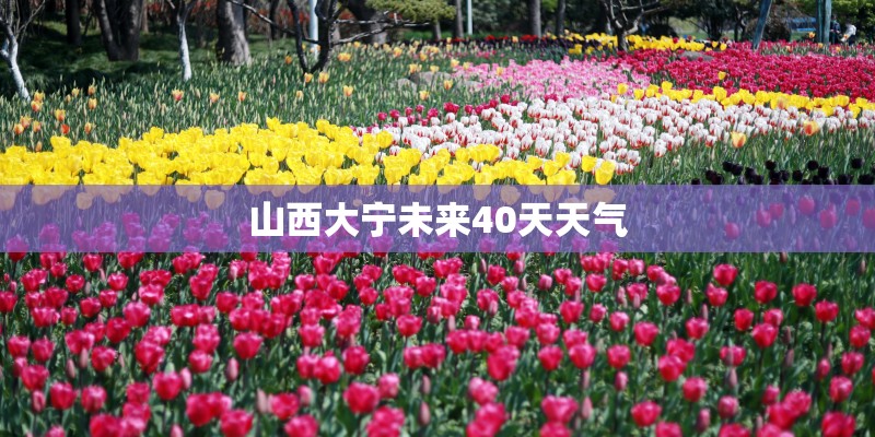 山西大宁未来40天天气
