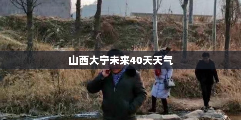山西大宁未来40天天气