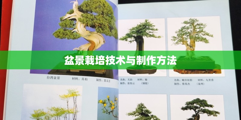 盆景栽培技术与制作方法