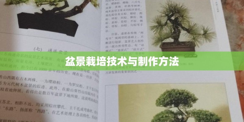 盆景栽培技术与制作方法