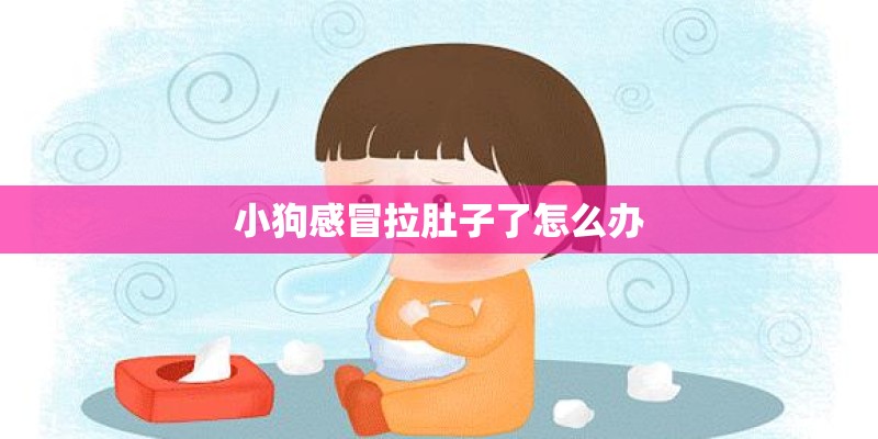 小狗感冒拉肚子了怎么办