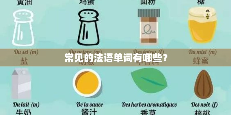 常见的法语单词有哪些？