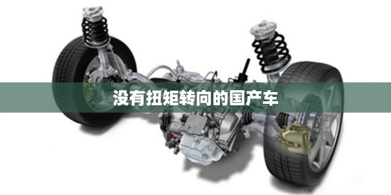 没有扭矩转向的国产车