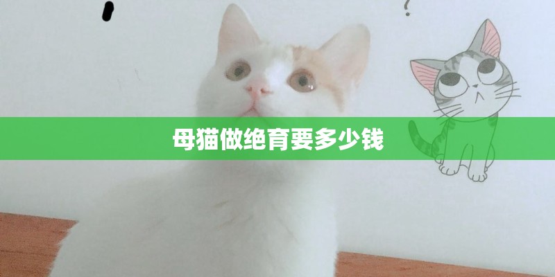 母猫做绝育要多少钱