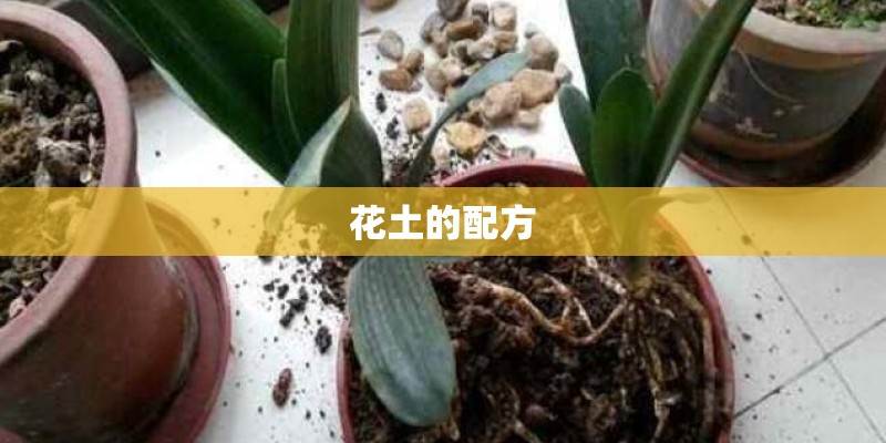 花土的配方