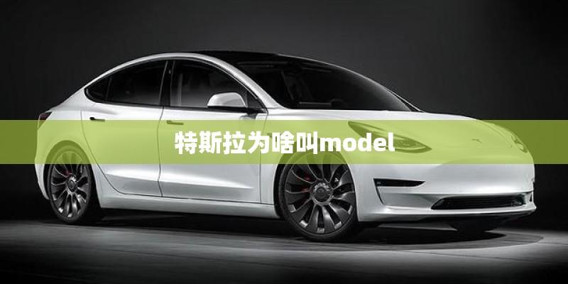 特斯拉为啥叫model