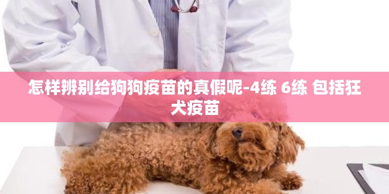 怎样辨别给狗狗疫苗的真假呢-4练 6练 包括狂犬疫苗