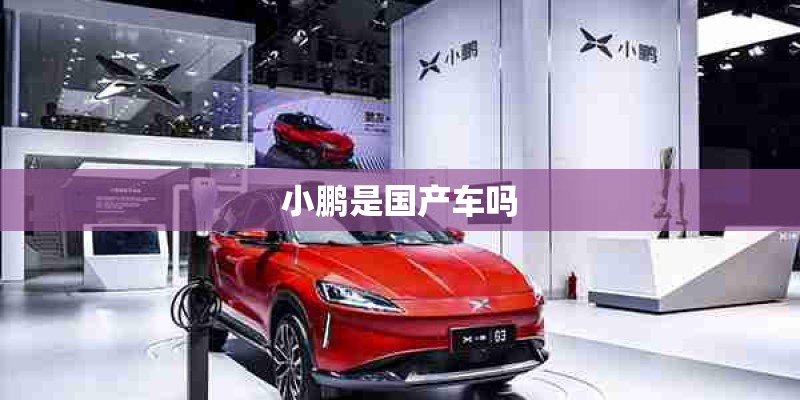 小鹏是国产车吗