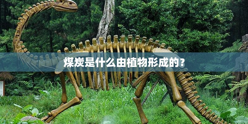 煤炭是什么由植物形成的？