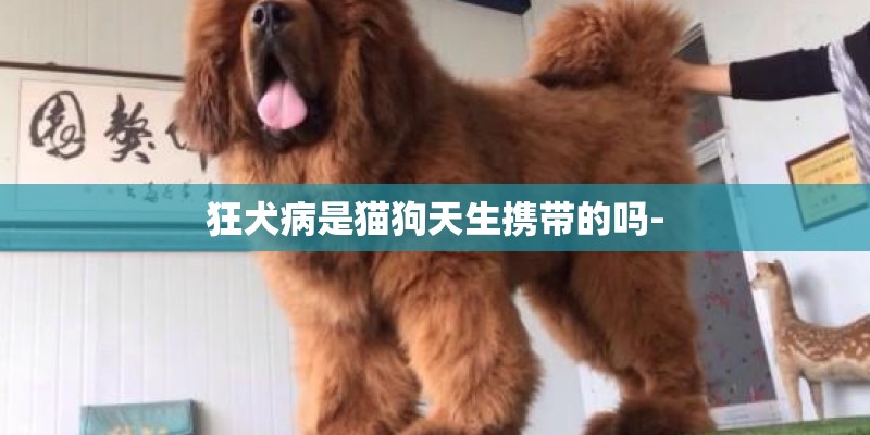 狂犬病是猫狗天生携带的吗-