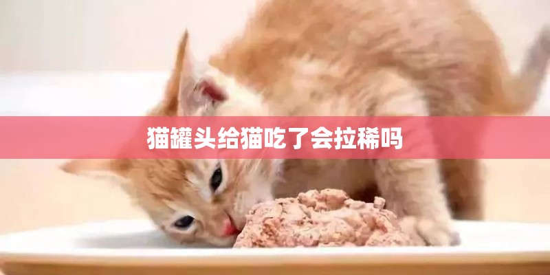 猫罐头给猫吃了会拉稀吗