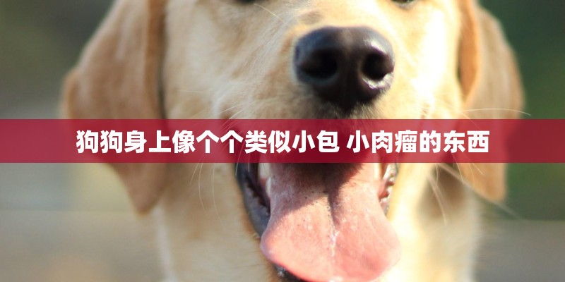 狗狗身上像个个类似小包 小肉瘤的东西