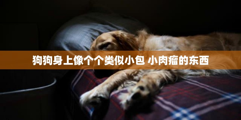 狗狗身上像个个类似小包 小肉瘤的东西