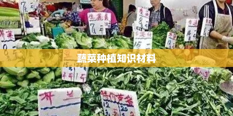 蔬菜种植知识材料