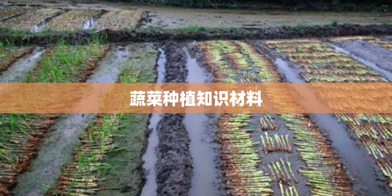 蔬菜种植知识材料