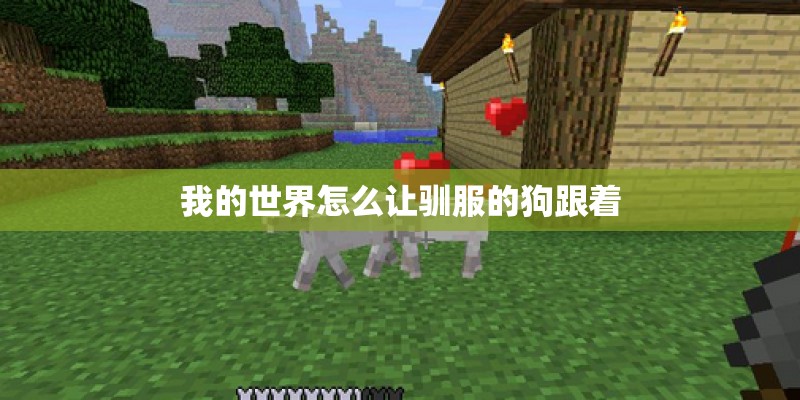 我的世界怎么让驯服的狗跟着