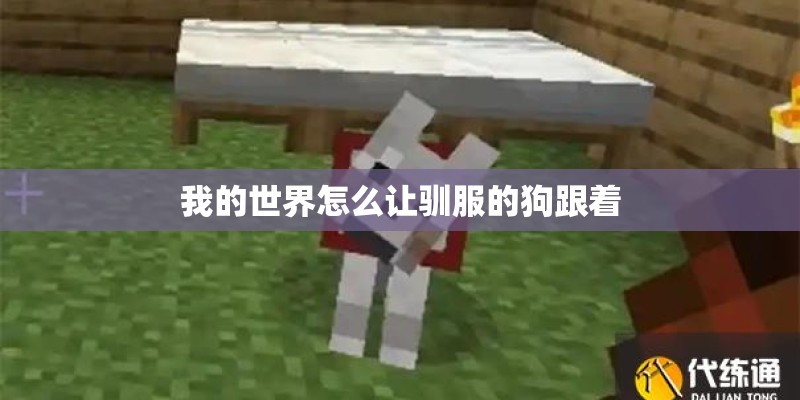 我的世界怎么让驯服的狗跟着