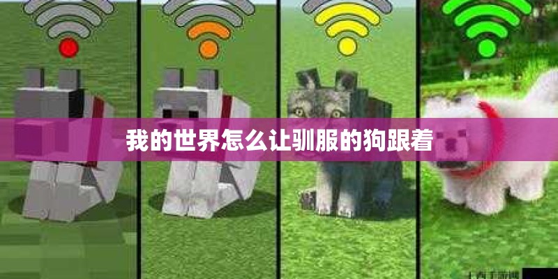 我的世界怎么让驯服的狗跟着