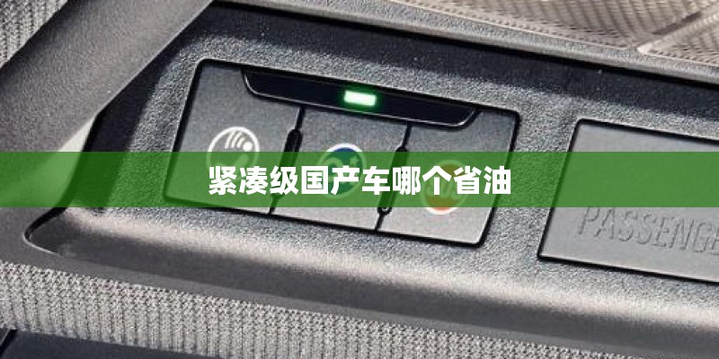 紧凑级国产车哪个省油