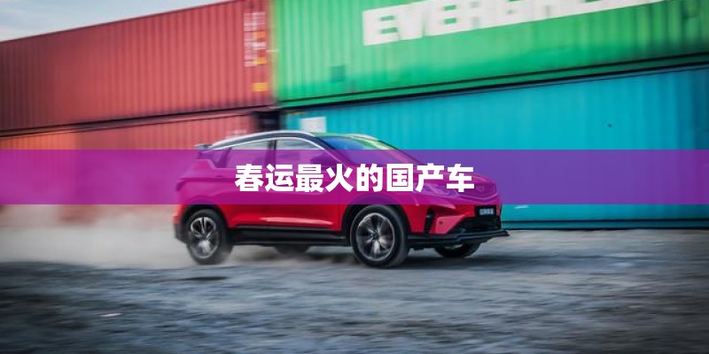 春运最火的国产车