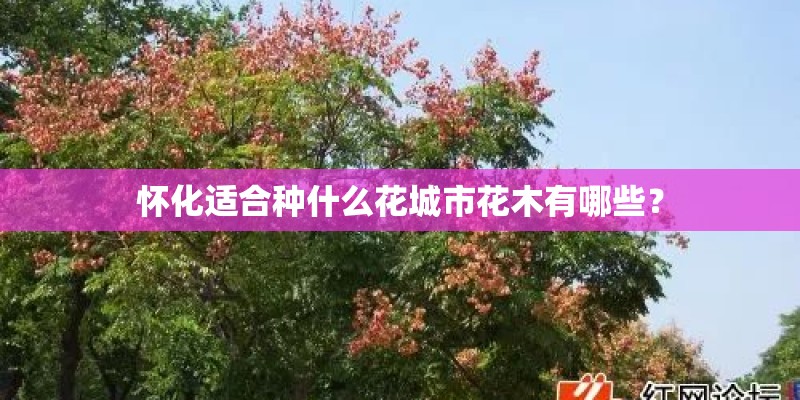 怀化适合种什么花城市花木有哪些？