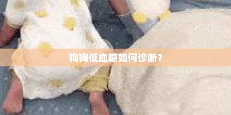 狗狗低血糖如何诊断？