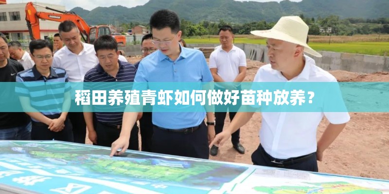 稻田养殖青虾如何做好苗种放养？
