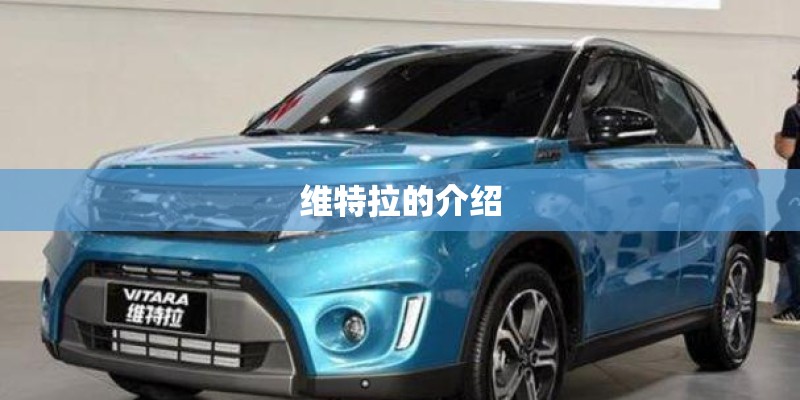 维特拉的介绍