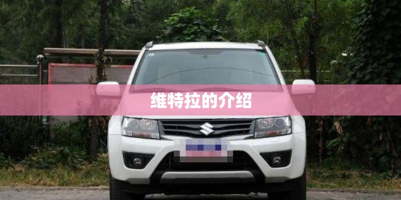维特拉的介绍
