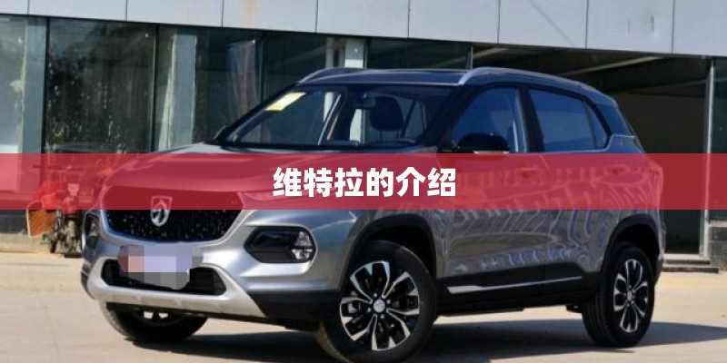 维特拉的介绍