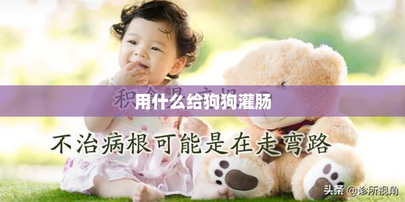 用什么给狗狗灌肠